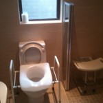 Disabled Access Shower Adaptation