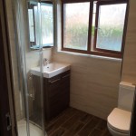 Ballybeen shower room
