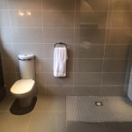 Carnesure manor wetroom